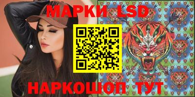 стаф Аргун