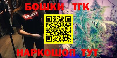 стаф Аргун