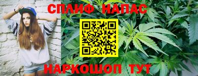 стаф Аргун