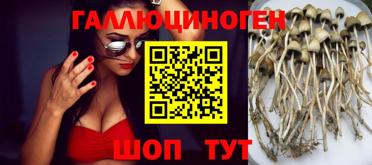 Бугуруслан  Галлюциногенные грибы Magic Shrooms  Вход с VPN 